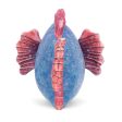 Jellycat Fishiful Blue - H13cm Supply