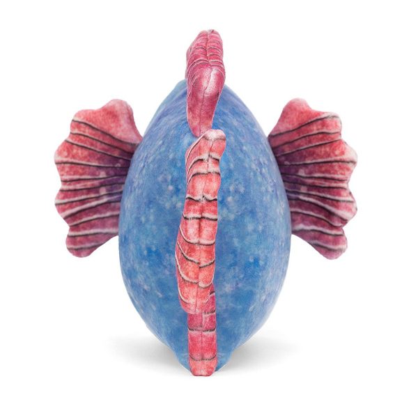 Jellycat Fishiful Blue - H13cm Supply