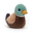 Jellycat Birdling Mallard - H10cm Online now