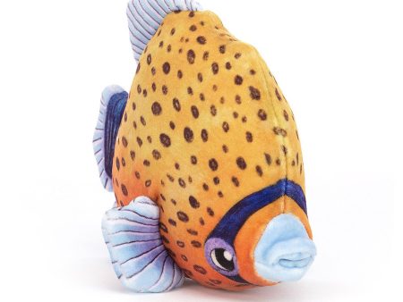 Jellycat Fishiful Orange - H13cm Supply