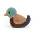 Jellycat Birdling Mallard - H10cm Online now