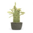 Jellycat Amuseable Potted Bamboo - H30cm Supply